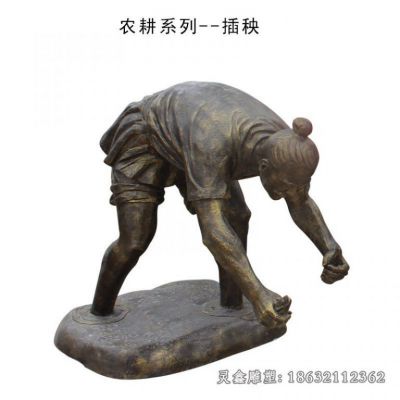 插秧