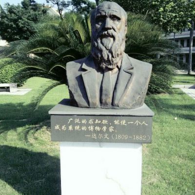 科学家达尔文胸像铜雕